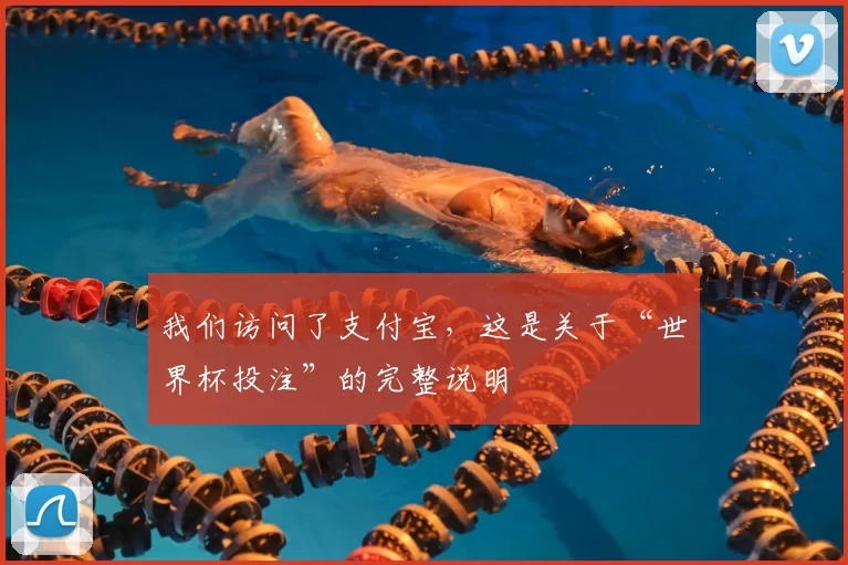 我们访问了支付宝,这是关于“世界杯投注”的完整说明