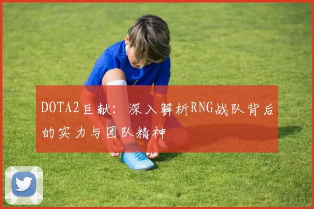 DOTA2巨献:深入解析RNG战队背后的实力与团队精神