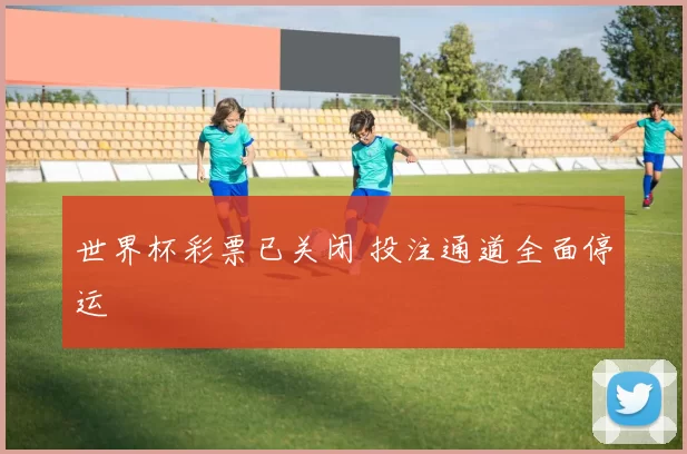 世界杯彩票已关闭 投注通道全面停运