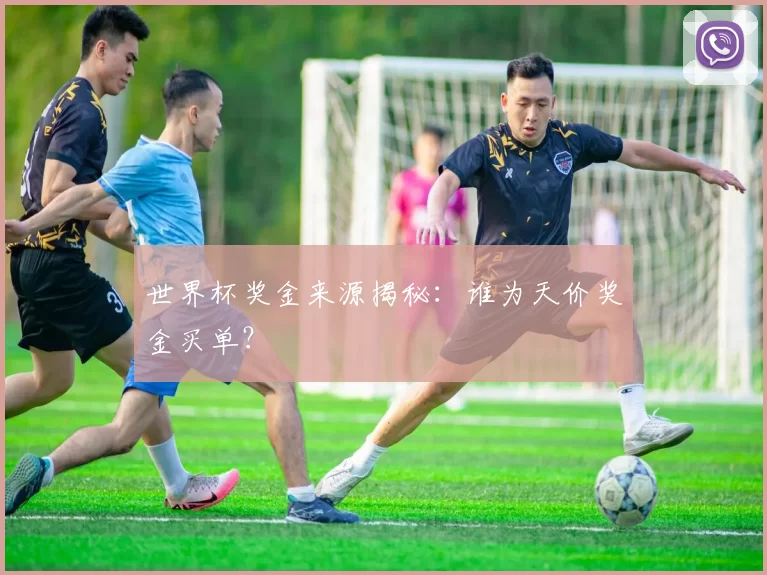世界杯奖金来源揭秘:谁为天价奖金买单?