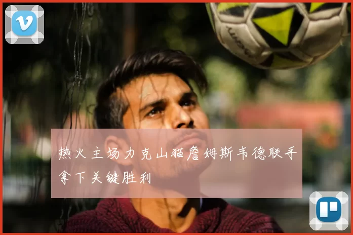 热火主场力克山猫詹姆斯韦德联手拿下关键胜利