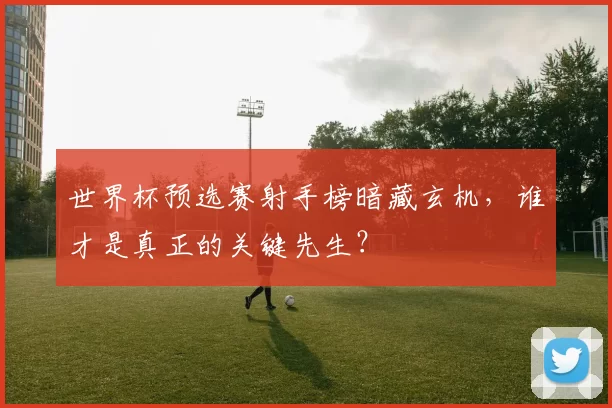 世界杯预选赛射手榜暗藏玄机,谁才是真正的关键先生?