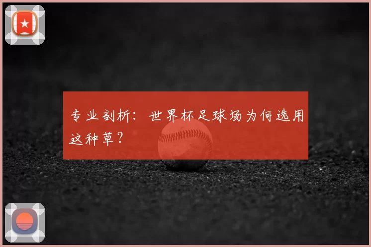 专业剖析:世界杯足球场为何选用这种草?