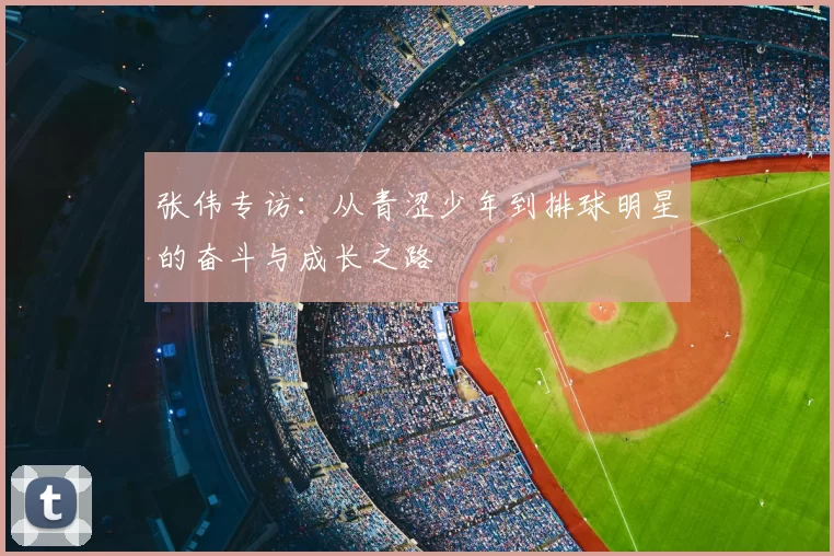 张伟专访:从青涩少年到排球明星的奋斗与成长之路