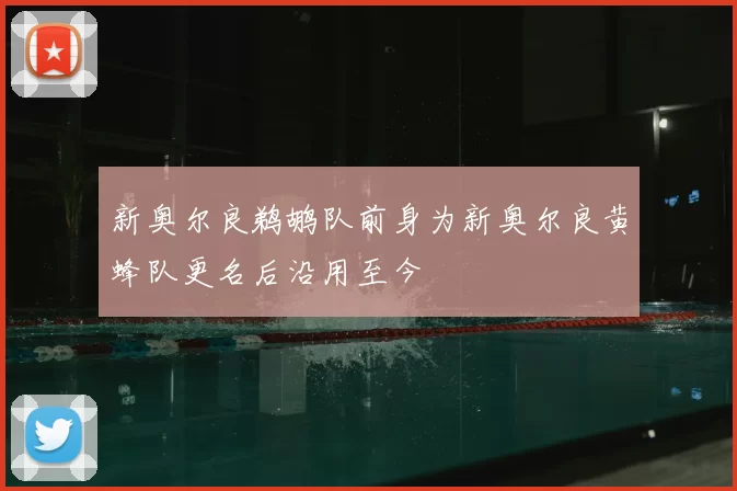 新奥尔良鹈鹕队前身为新奥尔良黄蜂队更名后沿用至今