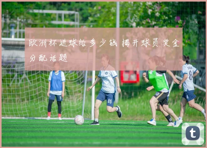 欧洲杯进球给多少钱 揭开球员奖金分配话题