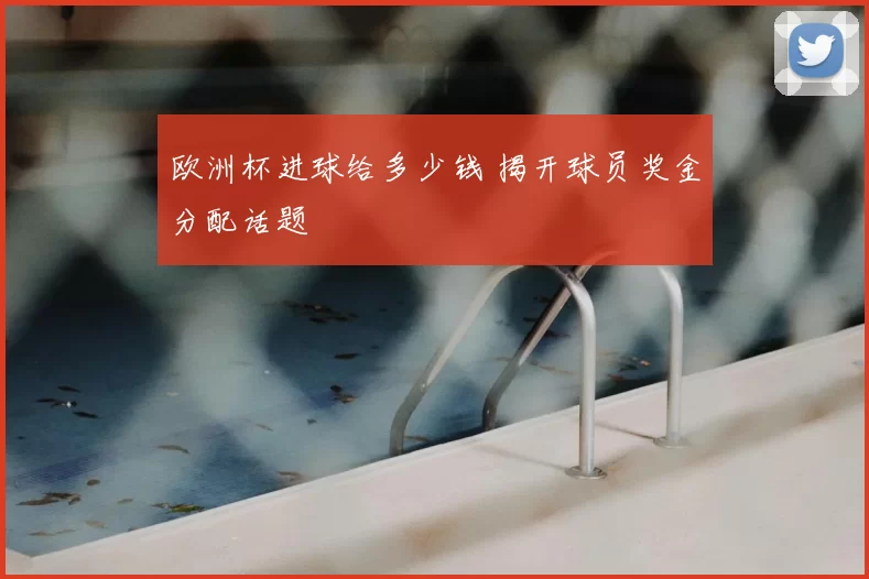 欧洲杯进球给多少钱 揭开球员奖金分配话题
