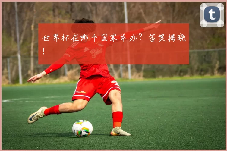 世界杯在哪个国家举办?答案揭晓!