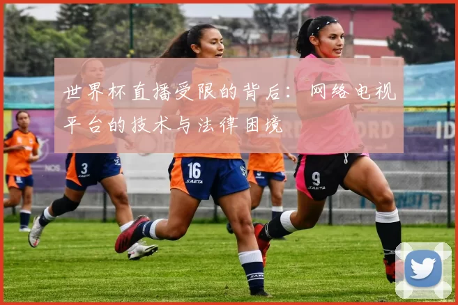 世界杯直播受限的背后:网络电视平台的技术与法律困境