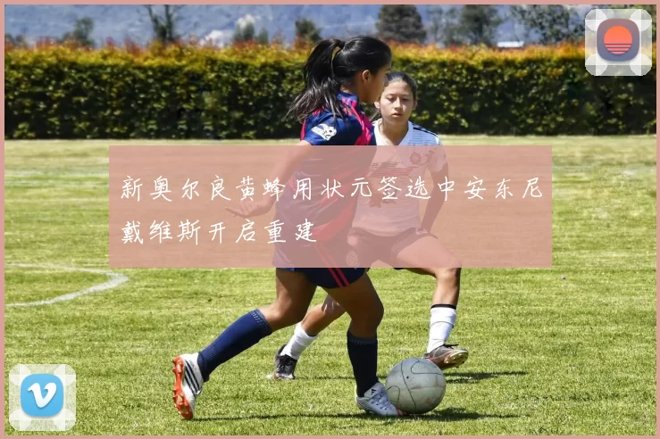 新奥尔良黄蜂用状元签选中安东尼戴维斯开启重建