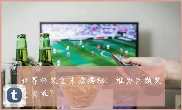 世界杯奖金来源揭秘：谁为巨额奖金买单？