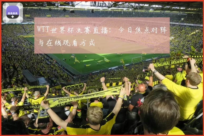 WTT世界杯决赛直播:今日焦点对阵与在线观看方式