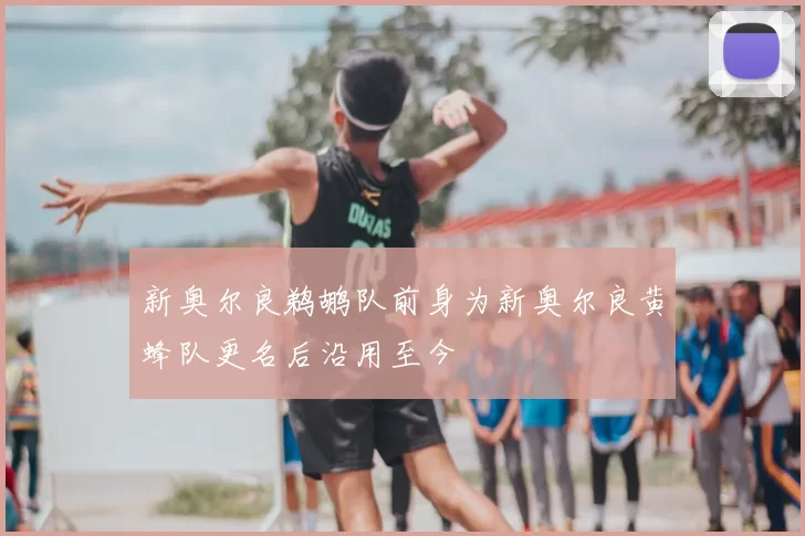 新奥尔良鹈鹕队前身为新奥尔良黄蜂队更名后沿用至今